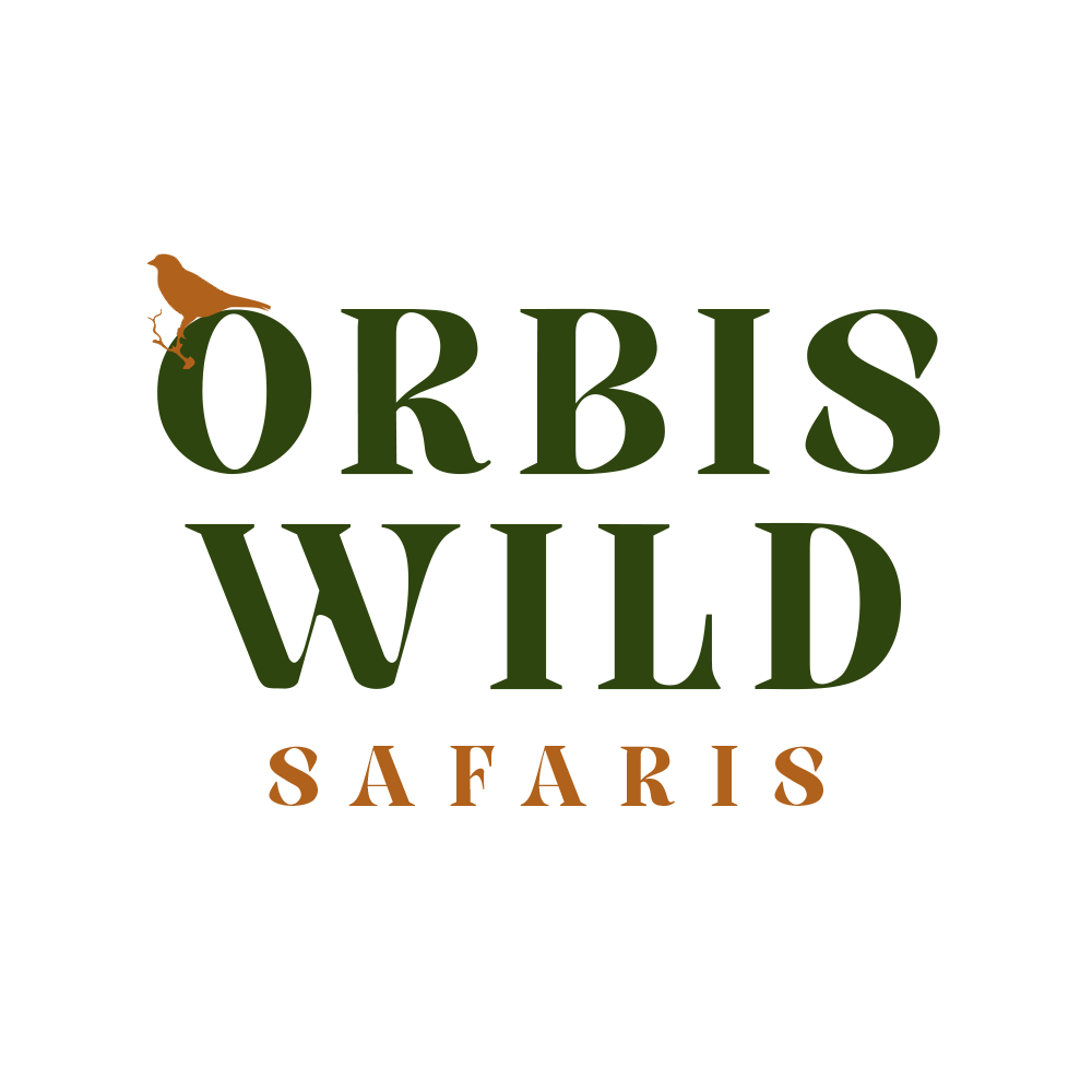 Orbis Wild Safaris