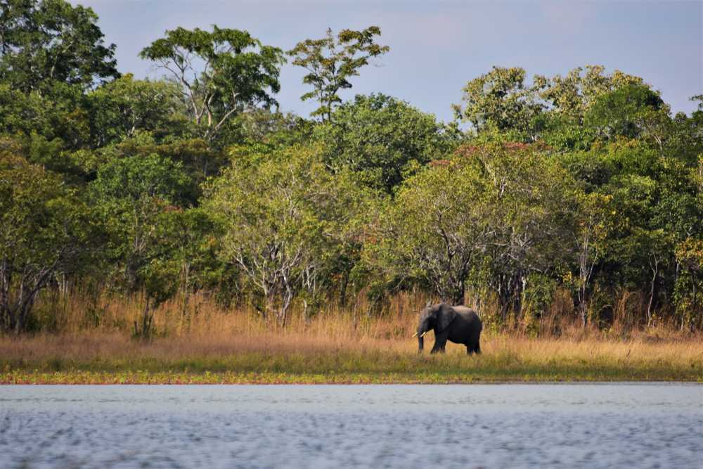 Kasungu National Park