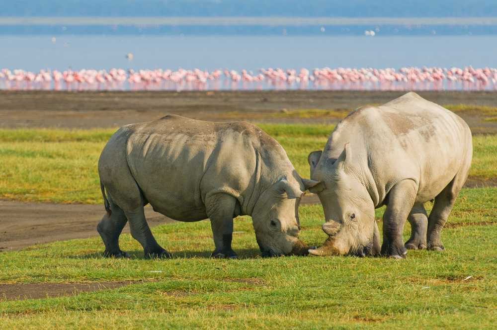 Kasungu National Park