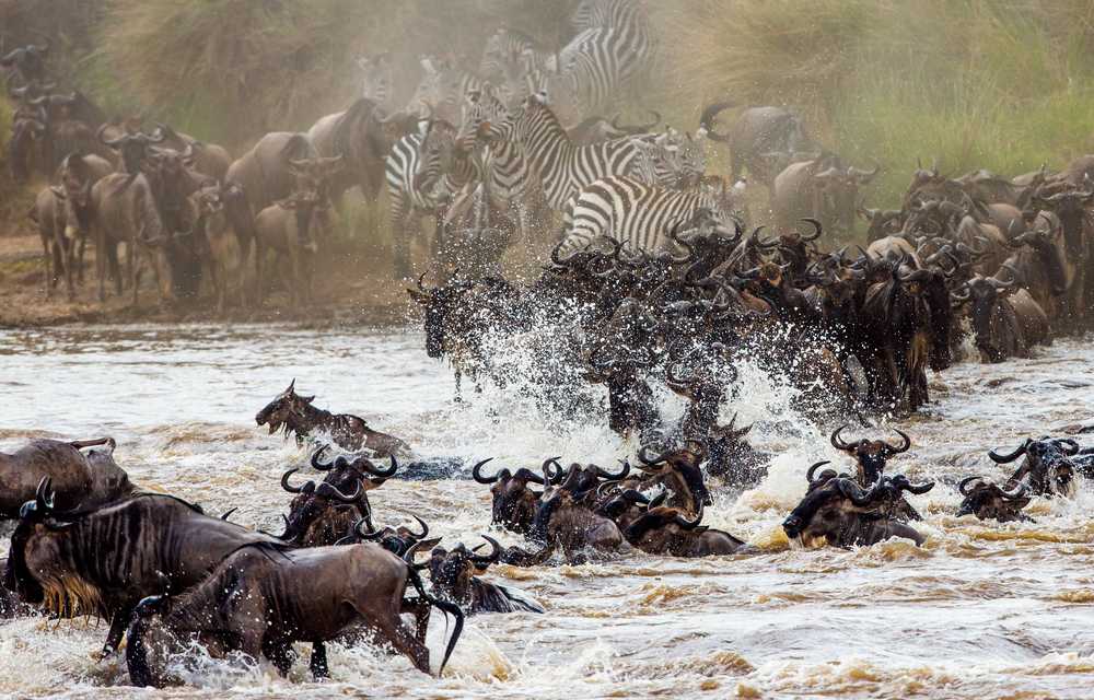 MAASAI MARA NATIONAL PARK