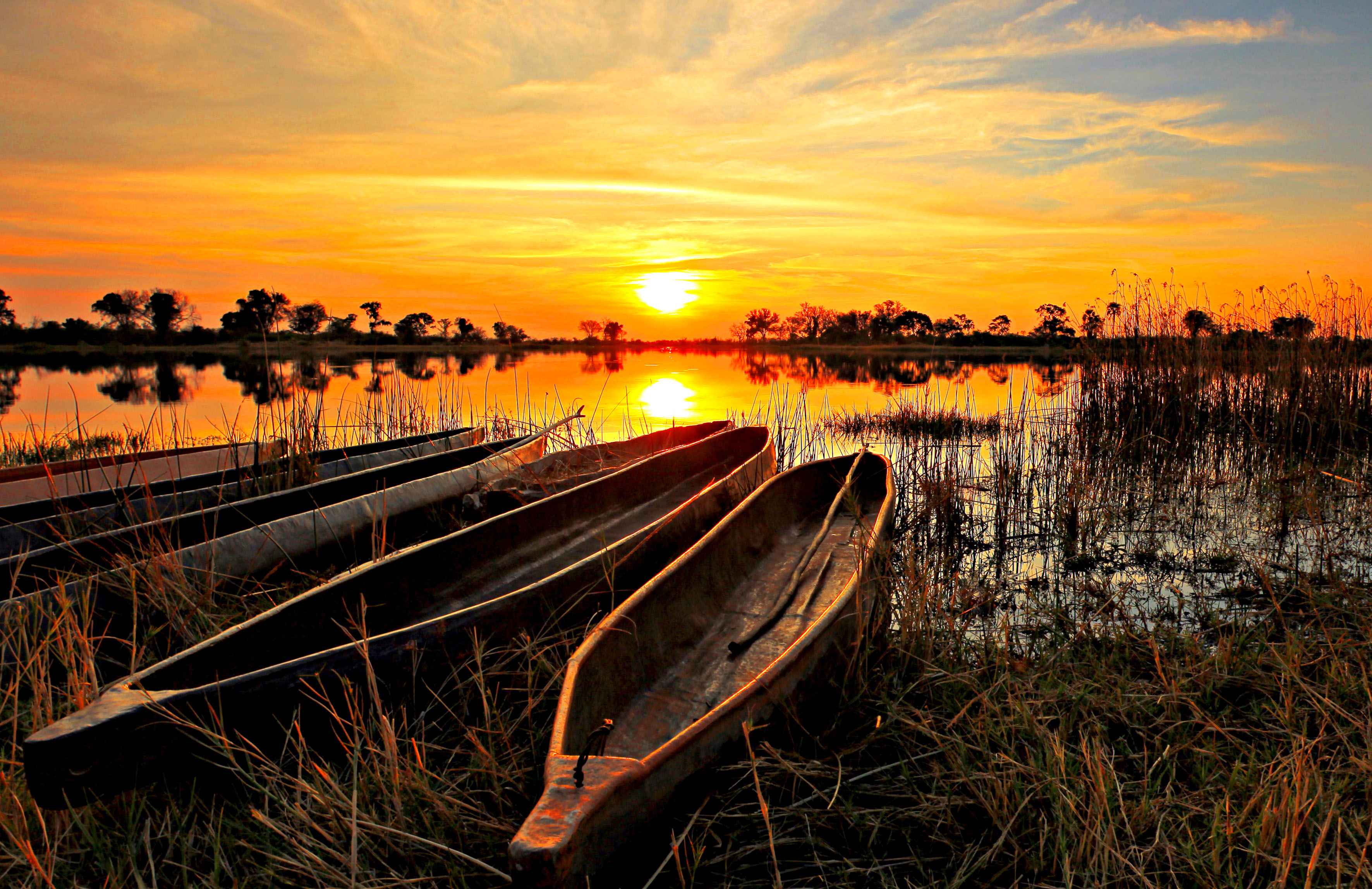 OKAVANGO DELTA EXPERIENCE